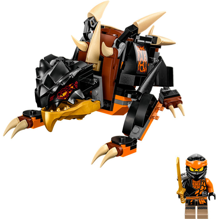 Cole's dragon online ninjago