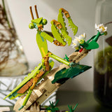 LEGO® 21342 Lego Ideas - The Insect Collection