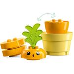 LEGO® 10981 - DUPLO My First Growing Carrot