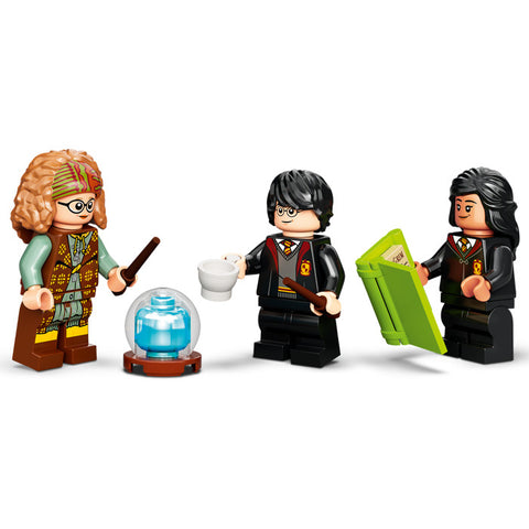 LEGO Harry Potter TM: Hogwarts Moment: Herbology Class (76384) for